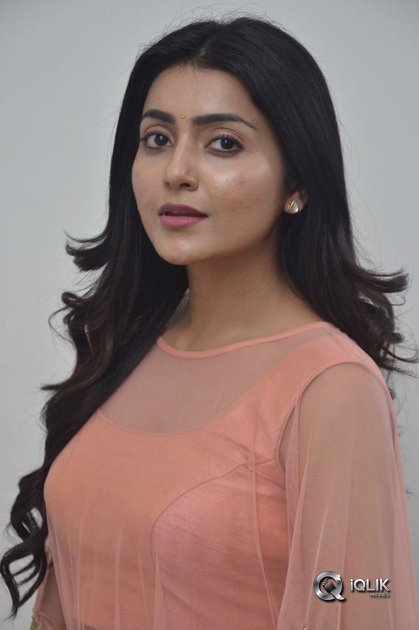 Avantika-Mishra-At-Vaishakham-Movie-Success-meet